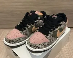 Arts Rec × Nike SB Dunk Low Pro