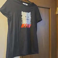 MSGM キャット　Tシャツ