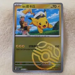 2026年最新】ピカチュウ ミラー マスターボールの人気アイテム - メルカリ