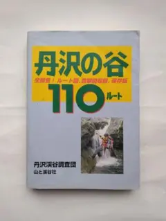 Item thumbnail for item bf4af430-995f-4b8d-b44c-589f730333e2