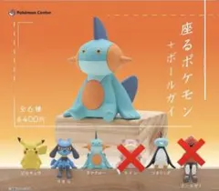 座るポケモン＋ボールガイ 4種セット 未開封　ピカチュウ　リオル　ヌマクロー　等