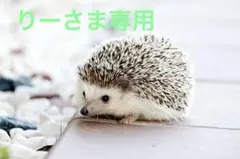 りーさま専用