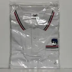 PETER MILLAR パシフィックブルー ポロシャツ M - メルカリ