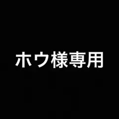 ホウ様専用