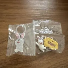 たべっ子どうぶつ うさぎちゃん めじるしアクセサリー チョコサプ 2点セット