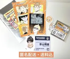 し*け様 ハイキュー ファンパーク 影山飛雄 烏野 名刺カード アクリルmini