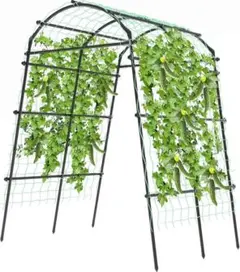 Item thumbnail for item d9598a21-f4a3-46e8-a647-ad12b076975c