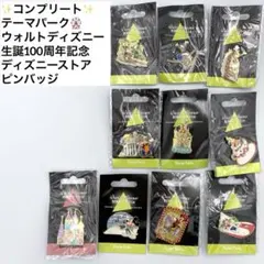 ウォルトディズニー生誕100周年記念 ピンバッジ テーマパーク