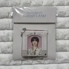 SEVENTEEN 2024 ケレン　デジコ SEVENTEEN 2024 ケレン デジコ SEVENTEEN セブチ CARAT LAND