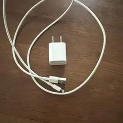 Apple USB電源アダプタ Lightningケーブル セット
