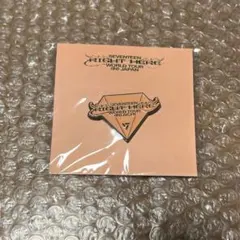 SEVENTEEN RIGHT HERE JAPAN ピンバッチ ピンズ 愛知