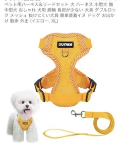 Item thumbnail for item 79547729-c640-4f46-a5a8-2f09ae5f3804