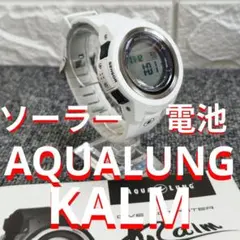 Item thumbnail for item a255a6d8-8712-4c26-a34a-d0827fc13f52