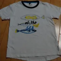 アルマーニジュニア130