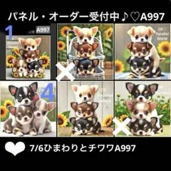オーダーページ　7/6ひまわりとチワワA997 パネル　ハンドメイド