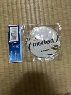 Item thumbnail for item 6f2e1250-69da-40cc-9f4e-2a0246caa20d