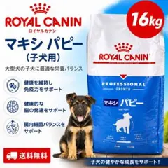 ロイヤルカナン ミディアムパピー 16㎏ - メルカリ