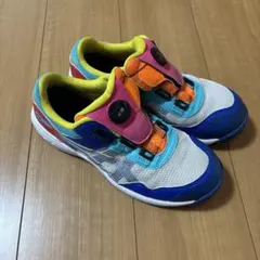 ASICS 安全靴 ウィンジョブ CP209 BOA LC 25.5センチ