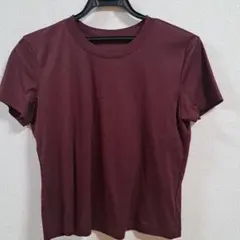 新品未使用　日本製　パシオーネ　コットンTシャツのサムネイル