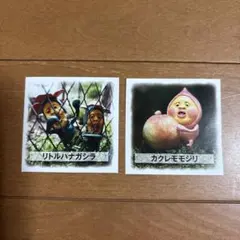 こびとづかんシール