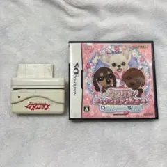 ワンタメミュージックチャンネル　どこでもスタイル DSカセット カードリーダー