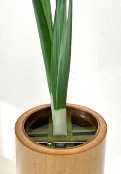 2026年最新】池坊 花器 竹の人気アイテム - メルカリ