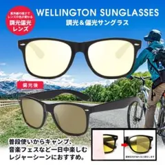 サングラス メンズ レディース ウェリントン ゴルフ 釣り マラソン アウトドア