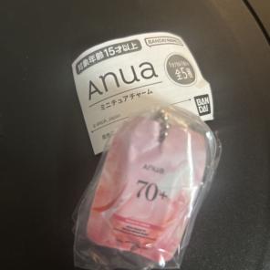 Anua ミニチュアチャーム