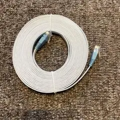 ⭐︎新品⭐︎ ホワイト LANケーブル 長い