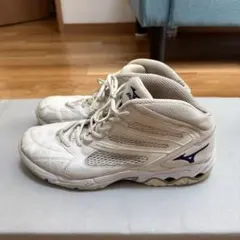 ミズノ　トレーニングシューズ 28センチ