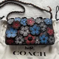 2025年最新】coach ティーローズの人気アイテム - メルカリ