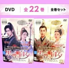 全23巻】 永楽帝 大明天下の輝き DVD 全巻セット - メルカリ