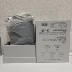 살로니아 퓨어 브라이트 스티머