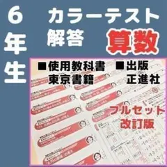 2026年最新】算数テスト 6年 カラーテストの人気アイテム - メルカリ