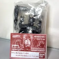 蜘蛛男　HG仮面ライダー　シルバーブロンズバージョンのサムネイル