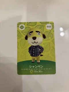 シャンペン アミーボカード 445