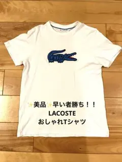 可愛い✨LACOSTE ラコステ 半袖Tシャツ ホワイト