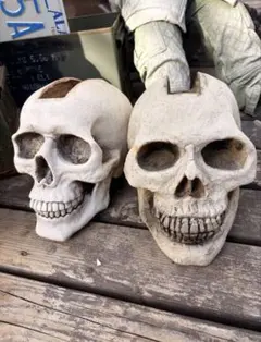 スカル ドクロ ガイコツ ネズミ ロウソク ホラー アンティーク - メルカリ