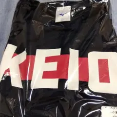 慶應義塾大学 優勝記念ペナント2枚セット（1985年秋季・1987年） 慶應義塾大学 優勝記念ペナント2枚セット（1985年秋季・1987年