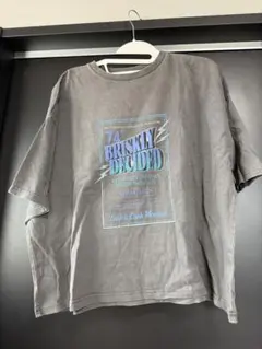 BRISKLY DECIDED グラフィック 半袖 Tシャツ グレー Mのサムネイル