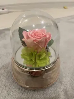 オルゴール ホールニューワールド