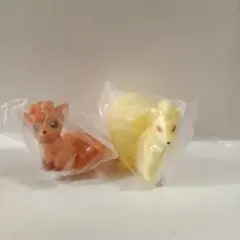 ポケモンキッズ　ロコン進化④