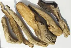 Item thumbnail for item 7fad3b9d-61bb-457b-94d4-544c2cf0d779