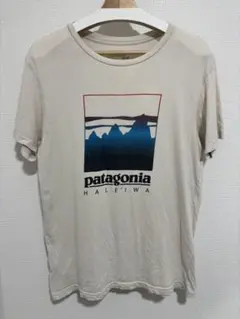 Patagonia Tシャツ