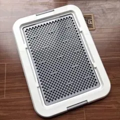 Item thumbnail for item d53fc069-a4d6-4474-a5a3-2b7face52263