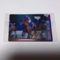 2026年最新】メイショウハリオの人気アイテム - メルカリ