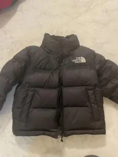 ザノースフェイス ダウン110