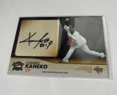 Item thumbnail for item 3cb602fa-6702-4220-be79-77798e056f02