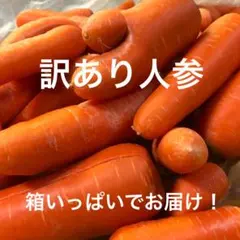 訳あり人参 箱いっぱい 詰め合わせのサムネイル