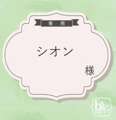 シオン様専用【お急ぎ便】